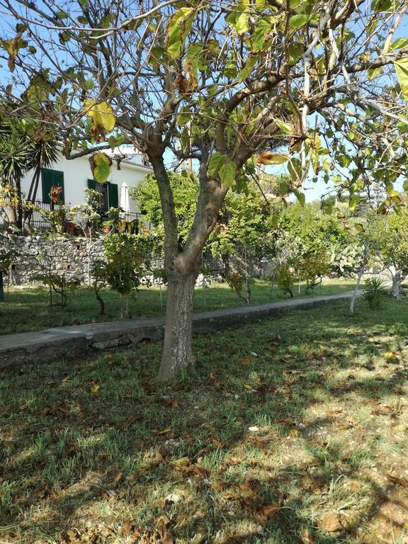 Villa Ninetta-Isabella 加埃塔 外观 照片